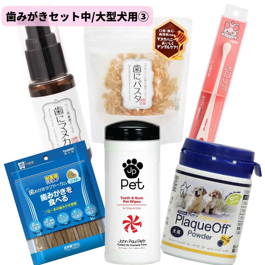 歯みがきセット③(中/大型犬用)