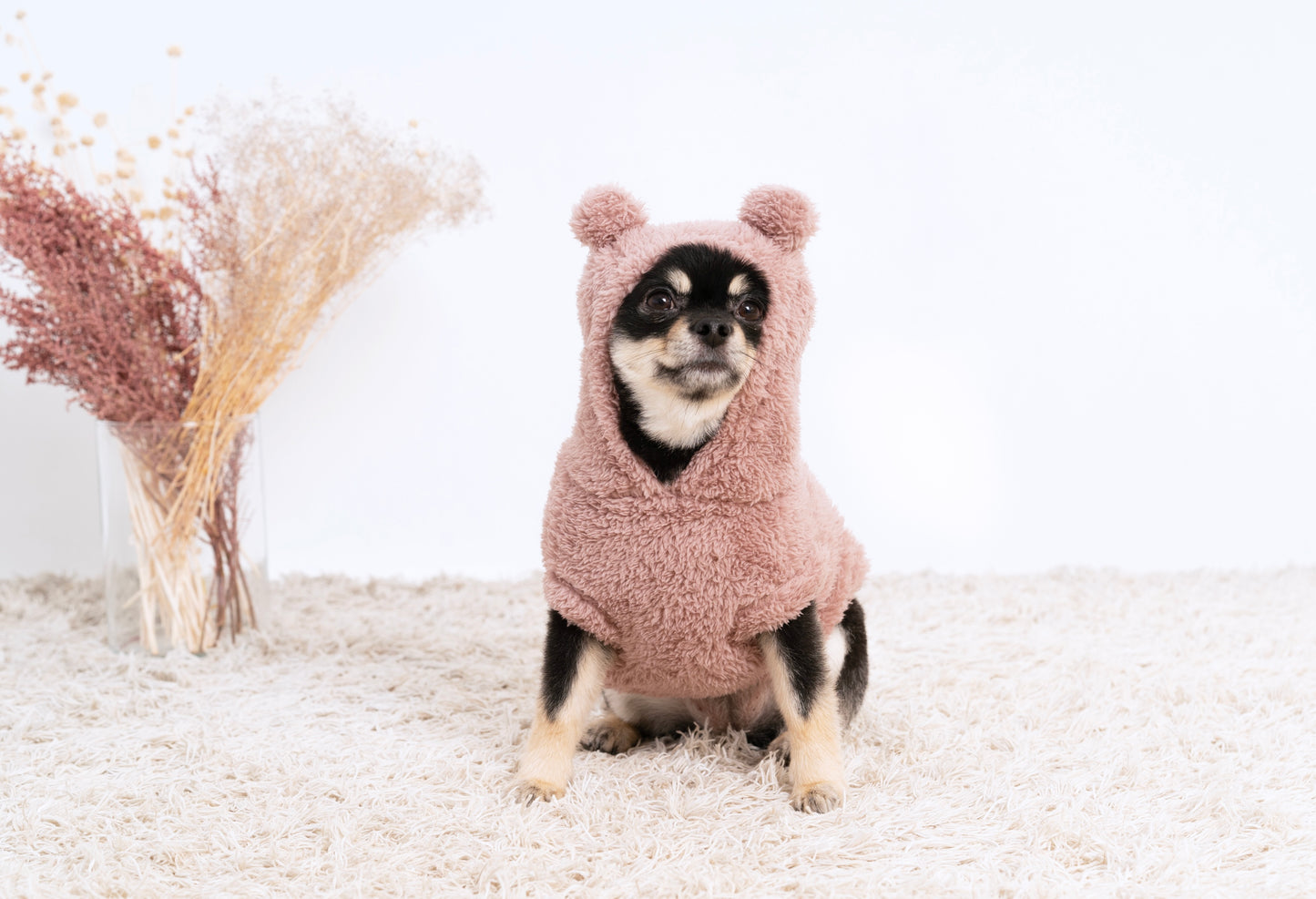 耳つきワンピース / pet