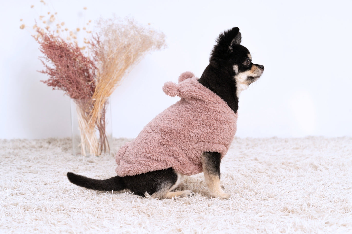 耳つきワンピース / pet