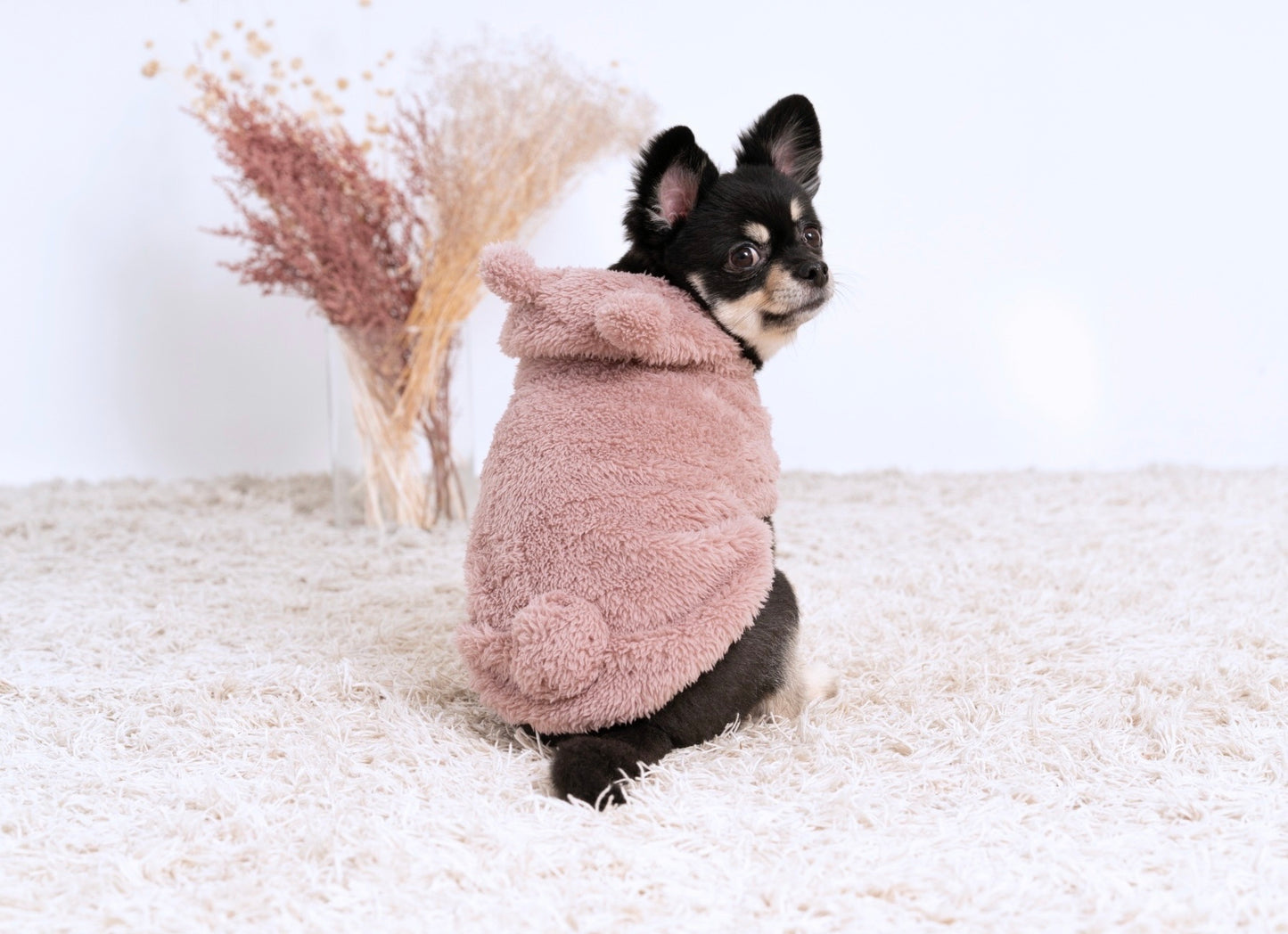 耳つきワンピース / pet