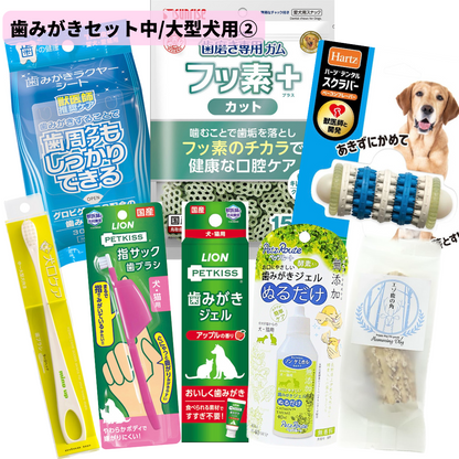 愛犬用歯みがきセット②(中/大型犬用) – MondMou